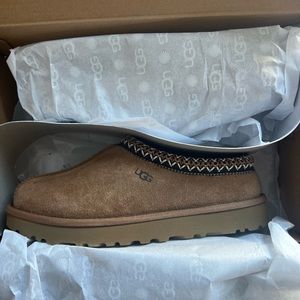 Brand New In Box Tasman Ugg Slipper